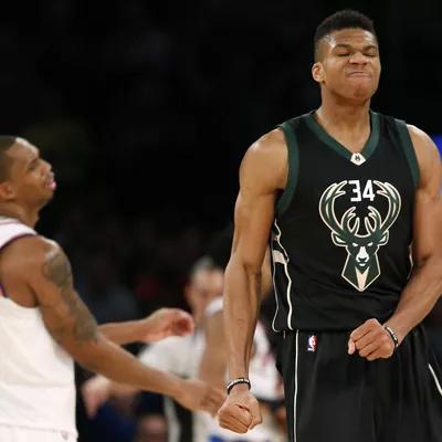 他们提供了 他们提供了