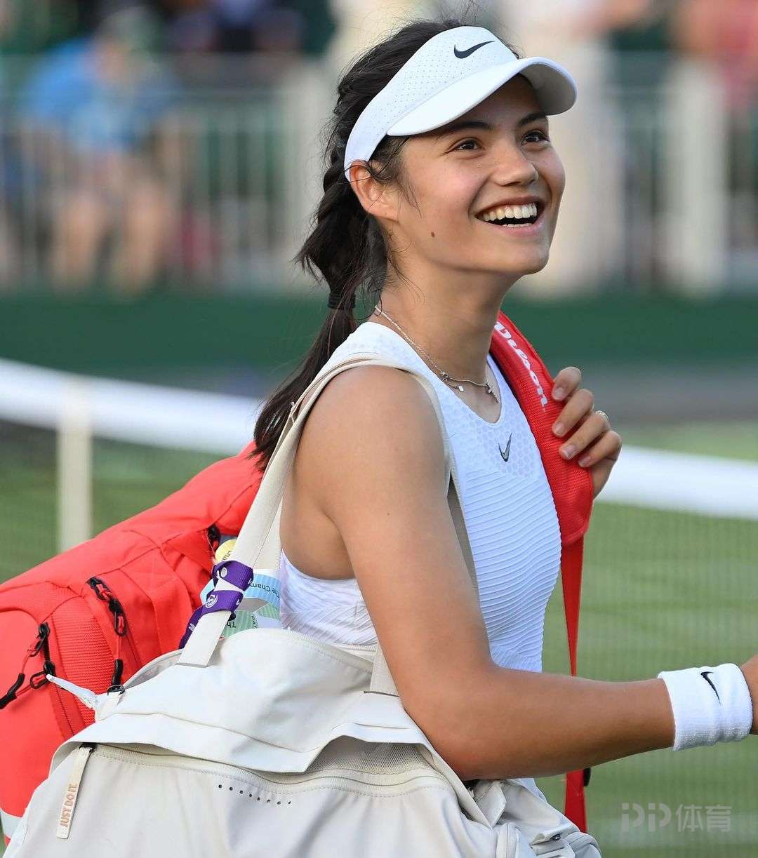 递已有长久 递已有长久